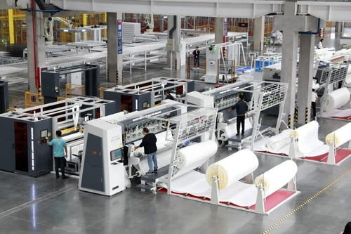 产业沃土孕新机 同心逐梦向未来——智能科技发展的时代交响